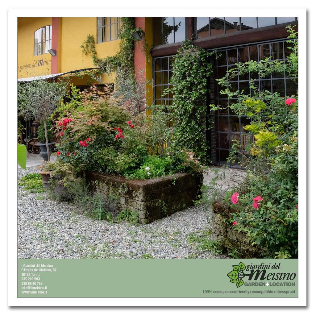 giardini meisino location torino 122